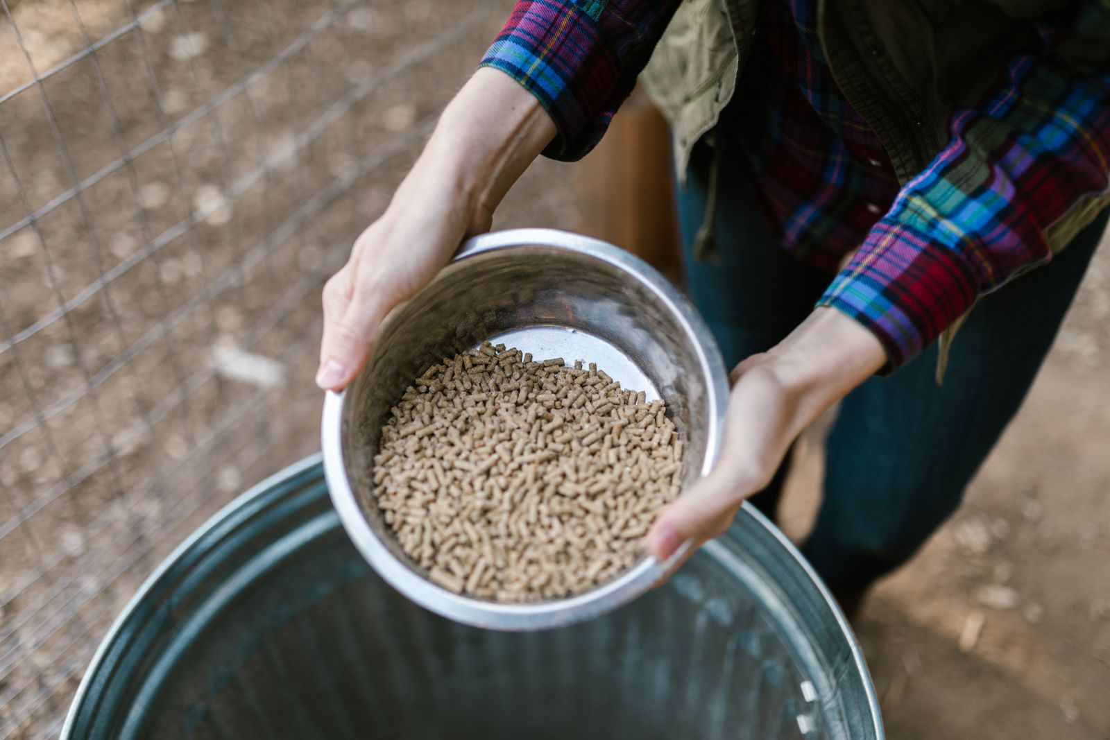 Animal feed quality testing